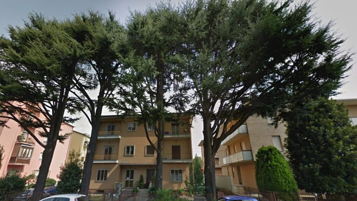 VIA PISACANE “SALVIAMO QUEGLI ALBERI” 100 FIRME RACCOLTE