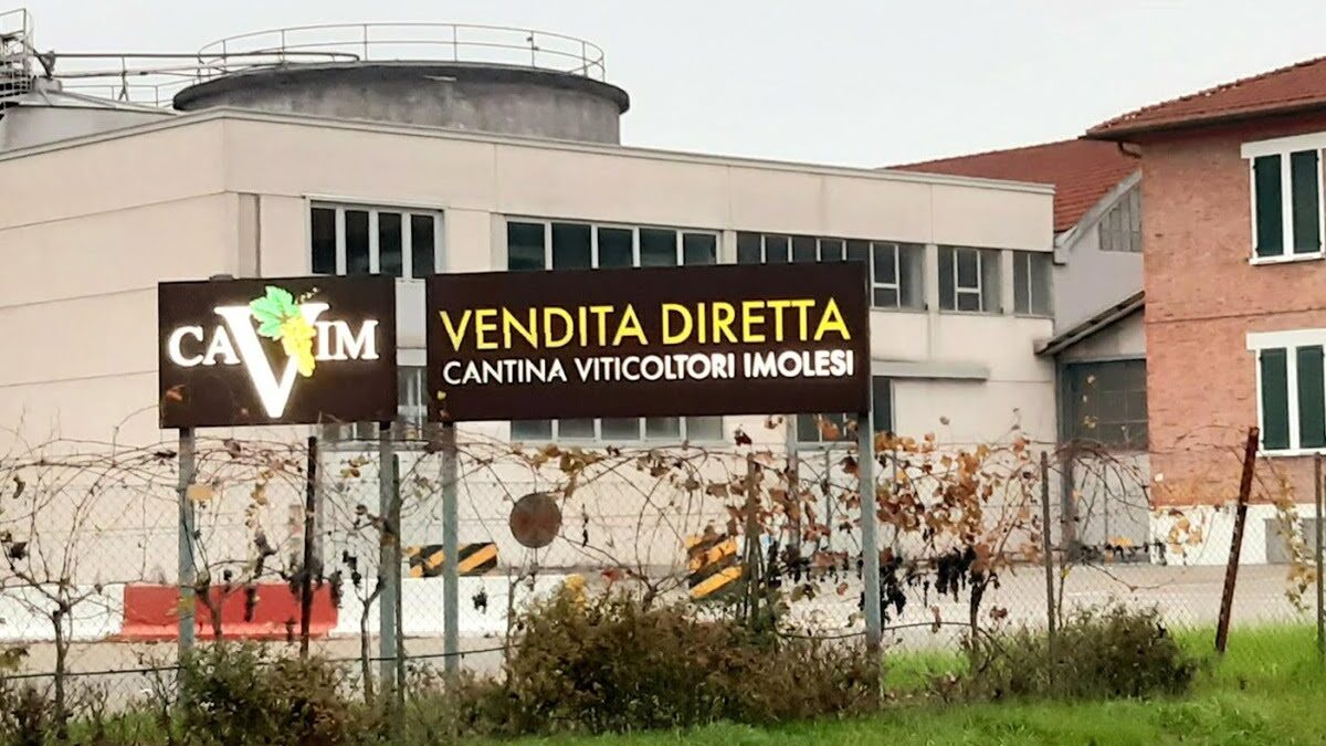 CAVIM: 2.300.000 Euro sequestrati dalla Finanza “Ma non erano il tesoretto”