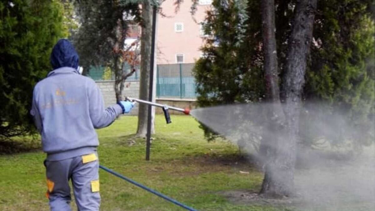 Imola, sospetto caso di Dengue, via alla disinfestazione