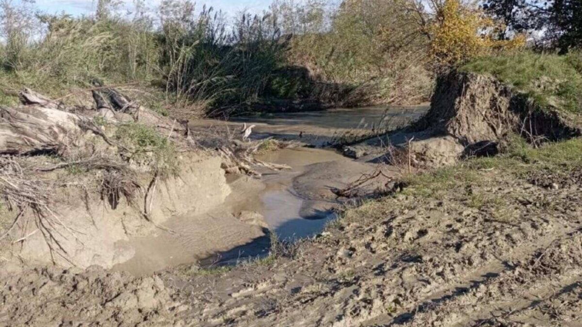 Brisighella: il Lamone esonda ancora, campi e frutteti sott’acqua