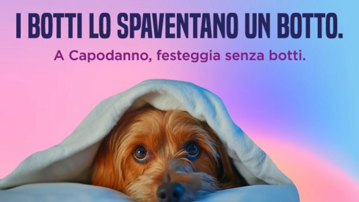 Botti di Capodanno, pensiamo agli animali