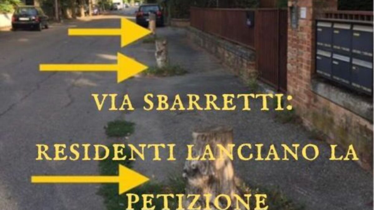 Perché il problema della gestione del verde è più serio di quanto si pensi