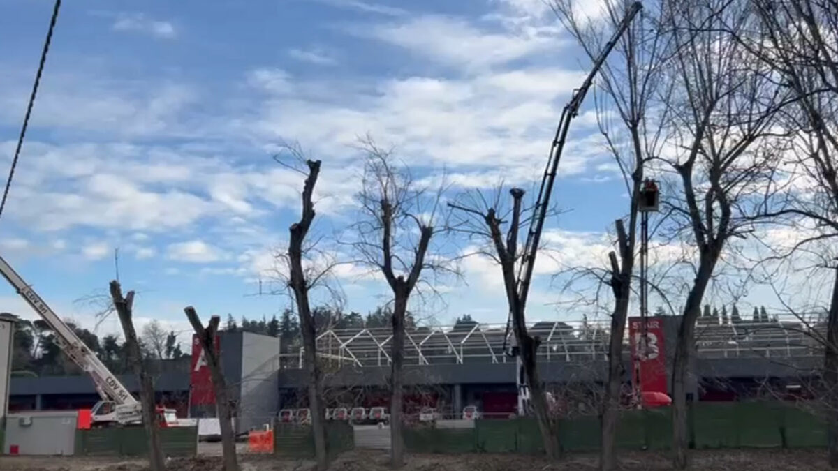 Autodromo, via ad abbattimento di 19 alberi per rifacimento muro: ne verranno ripiantati 38